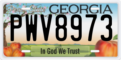 GA license plate PWV8973