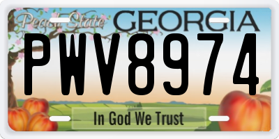 GA license plate PWV8974