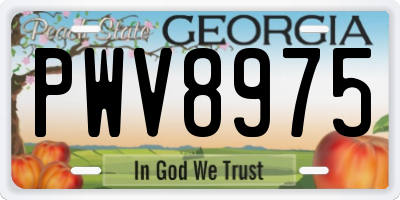 GA license plate PWV8975