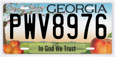 GA license plate PWV8976
