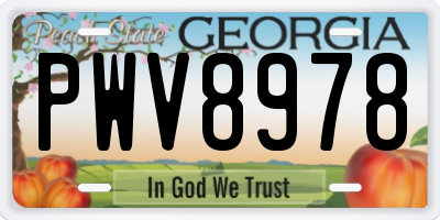 GA license plate PWV8978
