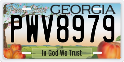 GA license plate PWV8979