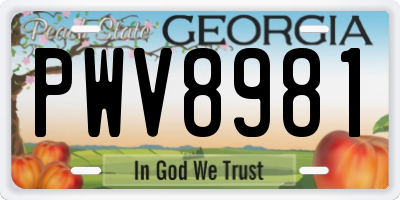 GA license plate PWV8981