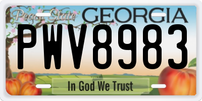 GA license plate PWV8983