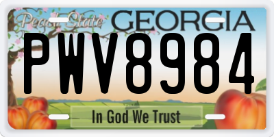 GA license plate PWV8984