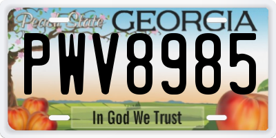 GA license plate PWV8985