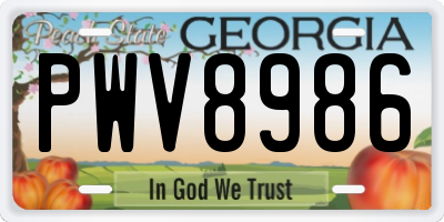 GA license plate PWV8986