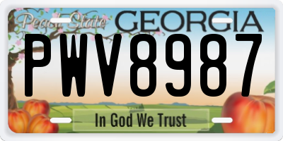 GA license plate PWV8987