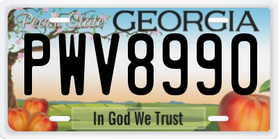 GA license plate PWV8990