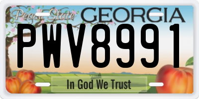 GA license plate PWV8991