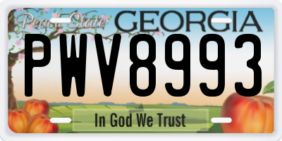 GA license plate PWV8993