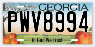 GA license plate PWV8994
