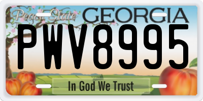 GA license plate PWV8995
