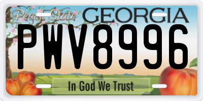 GA license plate PWV8996
