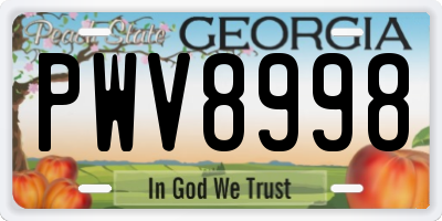 GA license plate PWV8998
