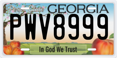 GA license plate PWV8999