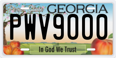 GA license plate PWV9000