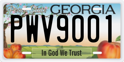 GA license plate PWV9001