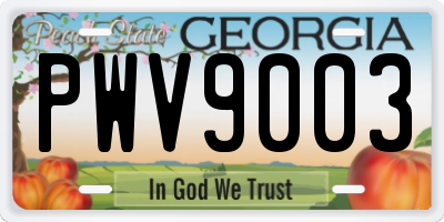 GA license plate PWV9003