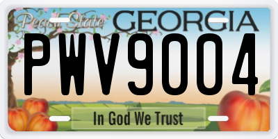 GA license plate PWV9004