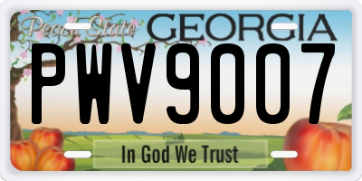 GA license plate PWV9007