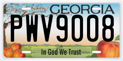 GA license plate PWV9008