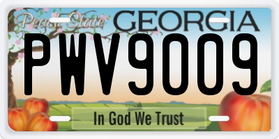 GA license plate PWV9009