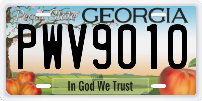 GA license plate PWV9010