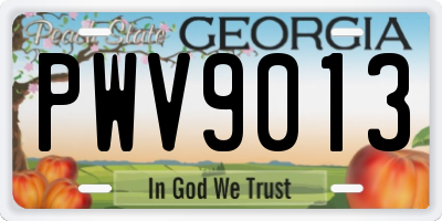 GA license plate PWV9013