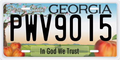 GA license plate PWV9015