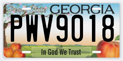 GA license plate PWV9018