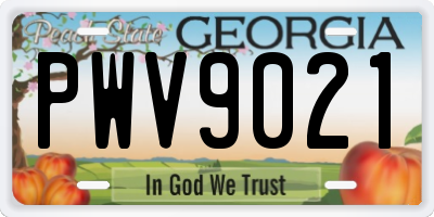 GA license plate PWV9021
