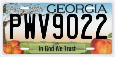 GA license plate PWV9022