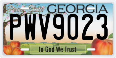 GA license plate PWV9023