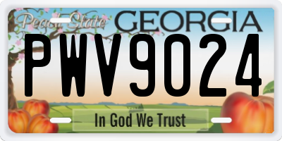 GA license plate PWV9024