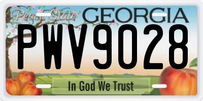 GA license plate PWV9028