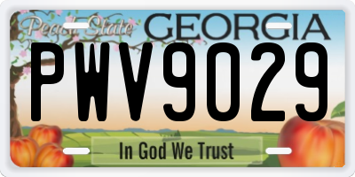 GA license plate PWV9029