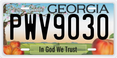 GA license plate PWV9030