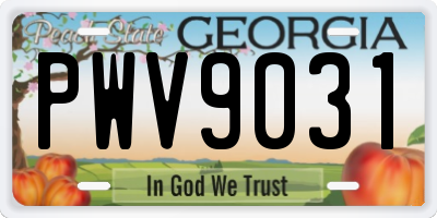GA license plate PWV9031