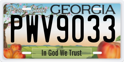 GA license plate PWV9033