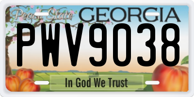 GA license plate PWV9038