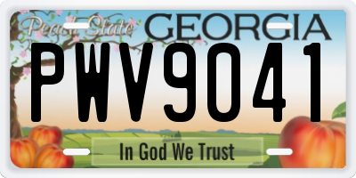 GA license plate PWV9041
