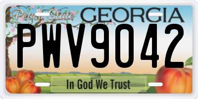 GA license plate PWV9042