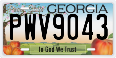 GA license plate PWV9043