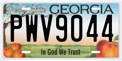 GA license plate PWV9044