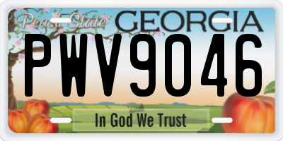 GA license plate PWV9046