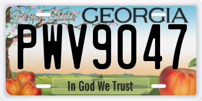 GA license plate PWV9047