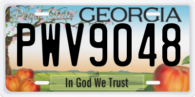 GA license plate PWV9048