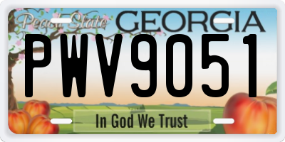 GA license plate PWV9051