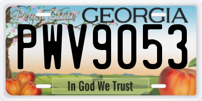 GA license plate PWV9053